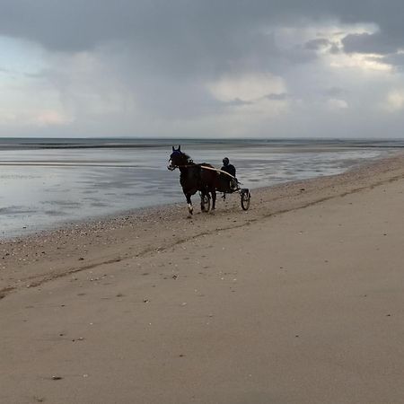 Gites "Bord De Mer" Pmr Ou "Arromanches" 2 Chambres En Front De Mer A Asnelles , 3Km D'Arromanches, 10Km De Bayeux Saint-Come-de-Fresne Экстерьер фото